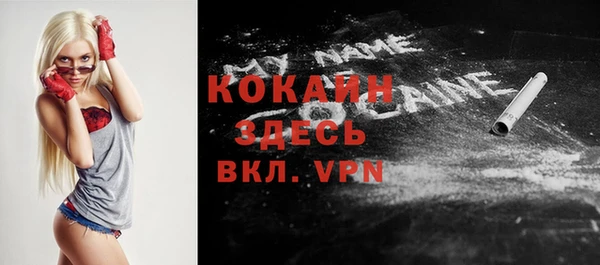метадон Каменка