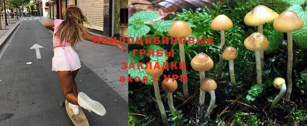 ПСИЛОЦИБИНОВЫЕ ГРИБЫ Каменск-Шахтинский