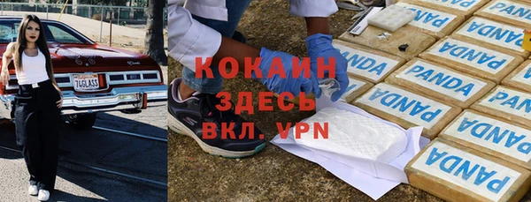 скорость Каменногорск