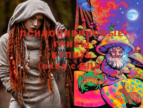 метадон Каменка