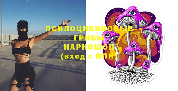 скорость Каменногорск