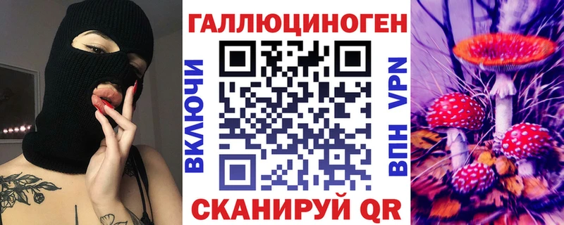 Купить  Апшеронск  Псилоцибиновые грибы Psilocybe 